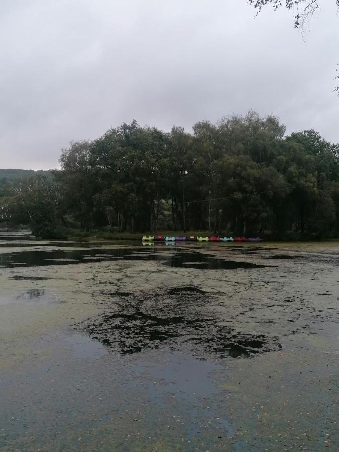 Hébergement de vacances Les De L'etang De La Foret *